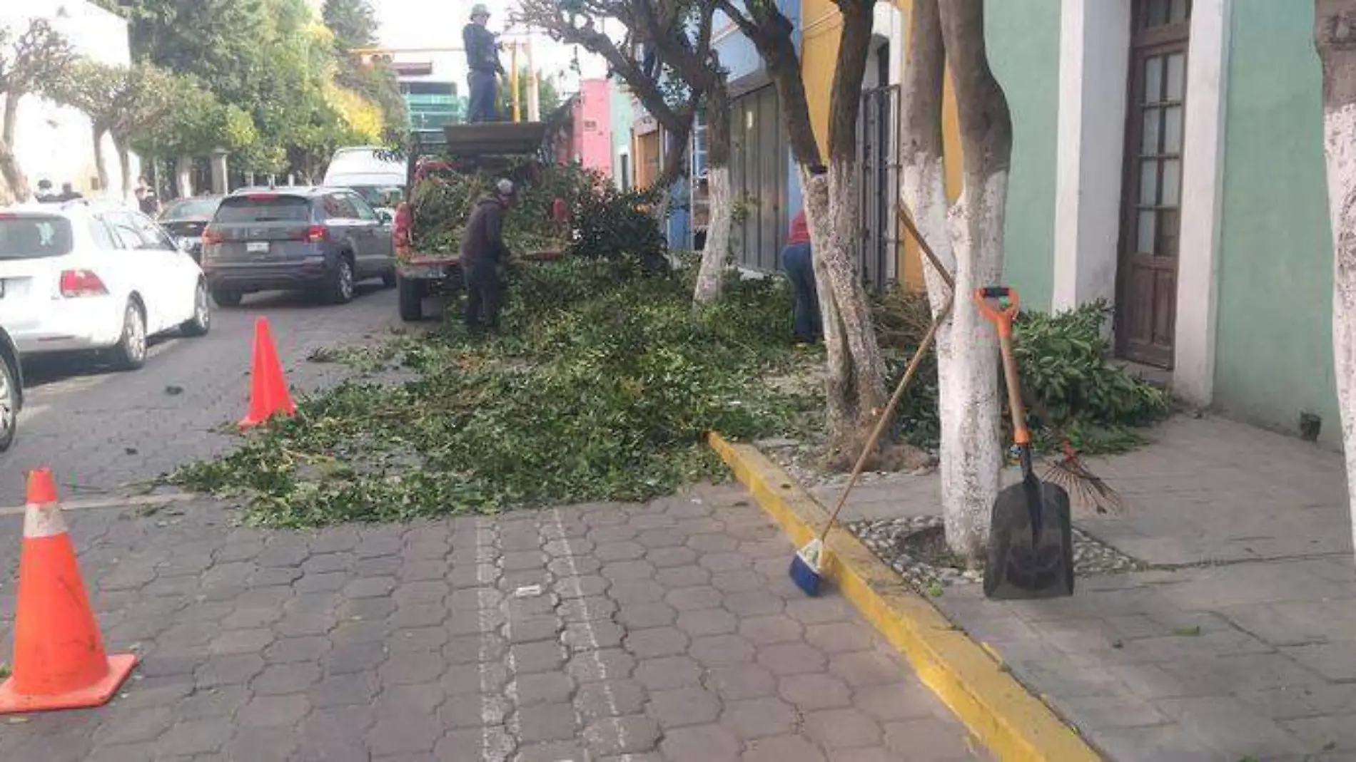 La zona cuenta con trabajos de poda de árboles, atención al área de jardinerías, restauración de banquetas y la rehabilitación de guarniciones diana zempoalteca